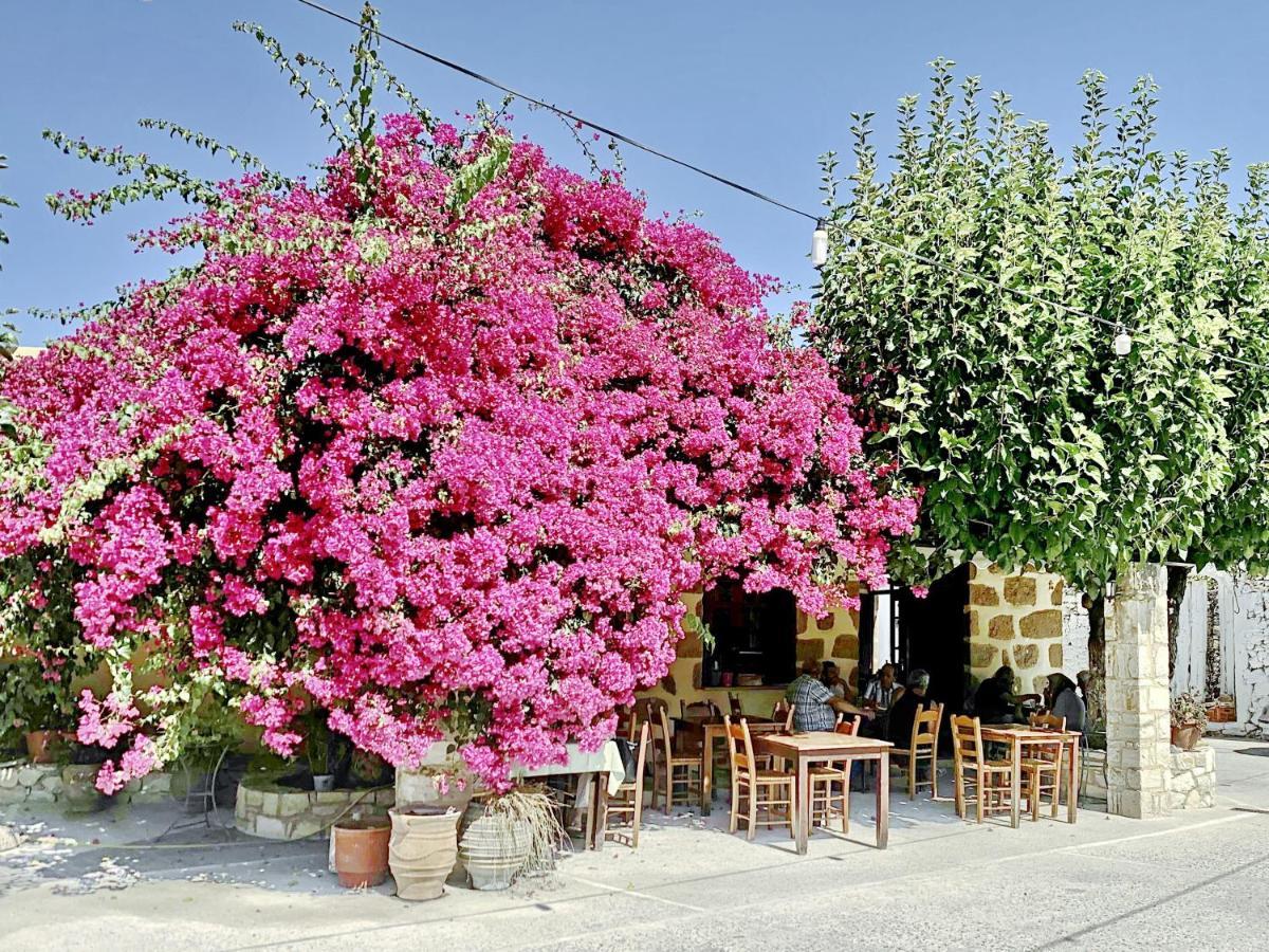 Villa Artemis Vryses Crete Alikampos Екстериор снимка